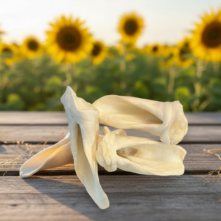 Lamb Ear