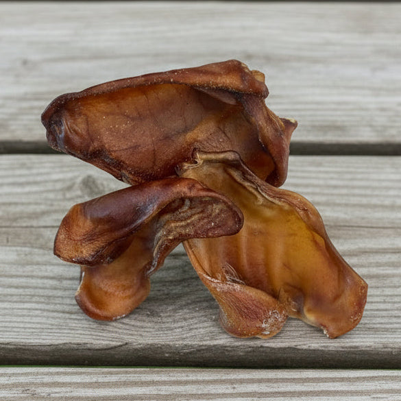 Pig Ear